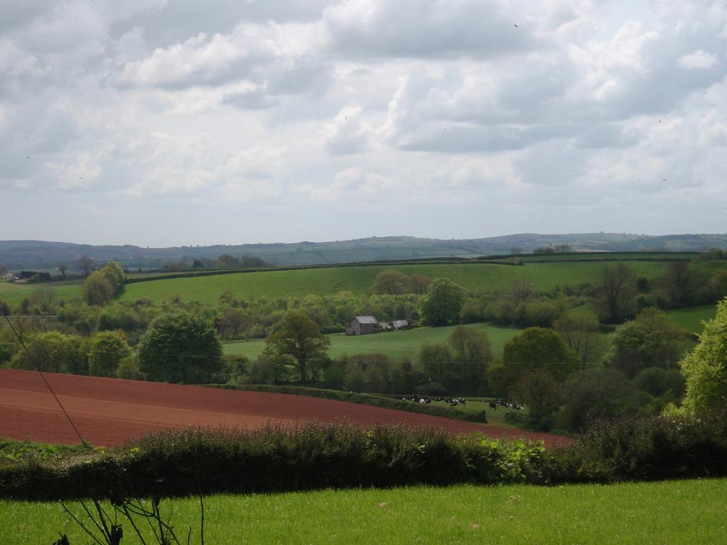 Brambles Bed And Breakfast Tiverton (Devon) Exterior foto