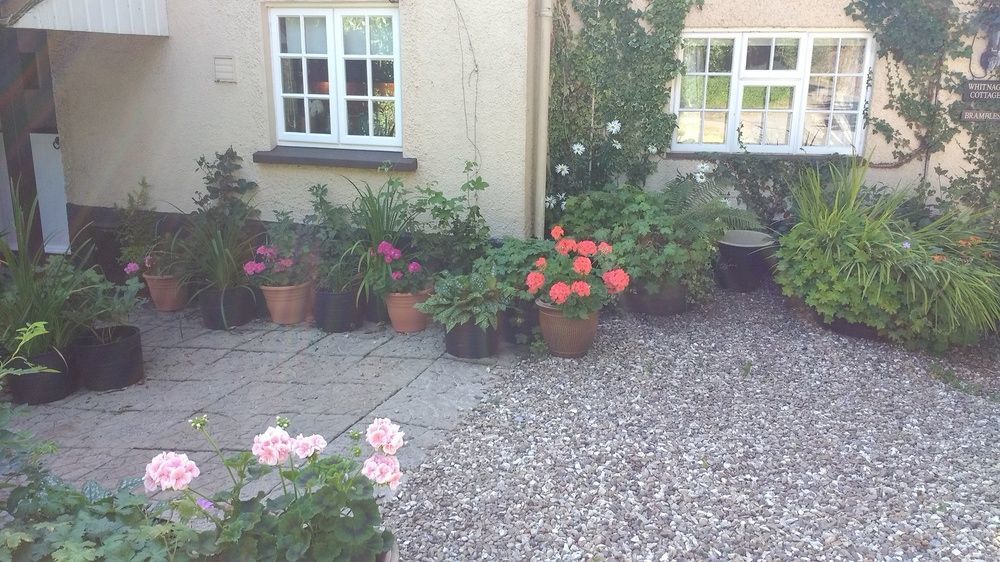 Brambles Bed And Breakfast Tiverton (Devon) Exterior foto