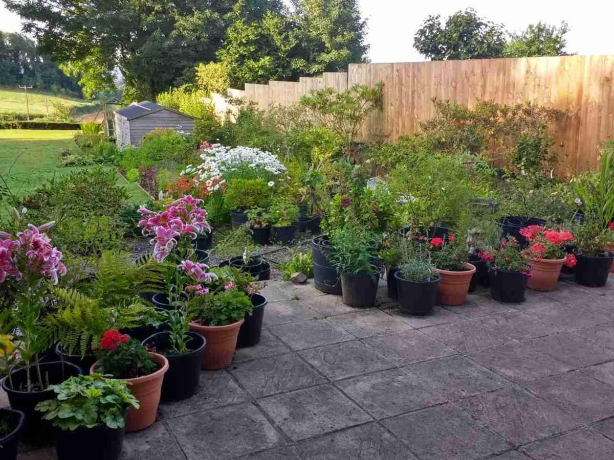 Brambles Bed And Breakfast Tiverton (Devon) Exterior foto