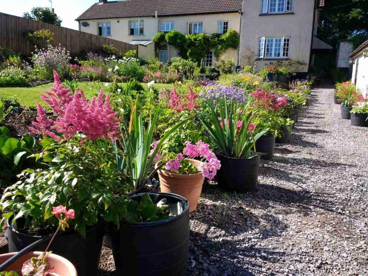 Brambles Bed And Breakfast Tiverton (Devon) Exterior foto