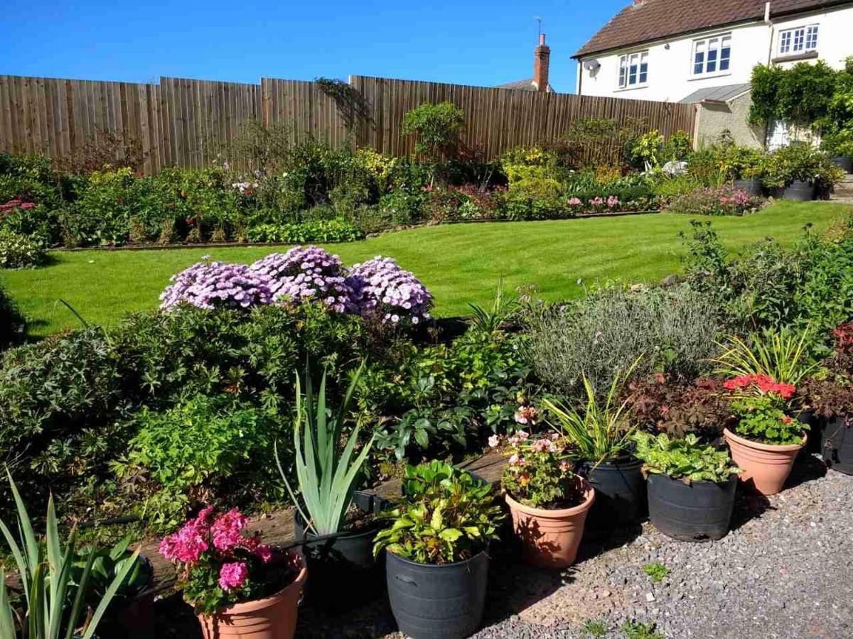 Brambles Bed And Breakfast Tiverton (Devon) Exterior foto