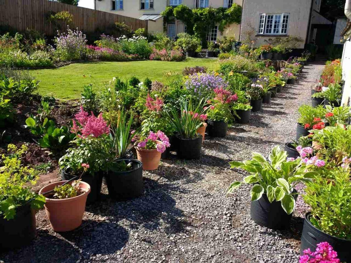 Brambles Bed And Breakfast Tiverton (Devon) Exterior foto